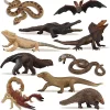 סט 10 יחידות פסלון חיות זוחלים טרופיים דו-חיים בדם קר