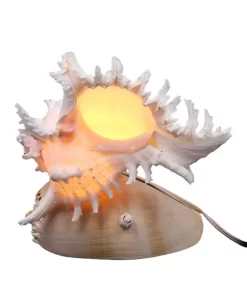 נורת לילה בסיס צדפת חילזון 7 אצבעות עם תאורה