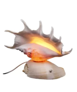 נורת לילה צדפת אוקיינוס 7 אצבעות עם תאורה