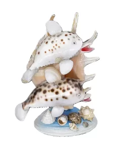 בובת 2 דולפינים מצדפים על רקע צדף 7 האצבעות