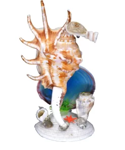 בובה של סוסון ים צדפים 7 האצבעות בעבודת יד