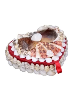 קופסת תכשיטים לנשים מצדפים לב 6X6