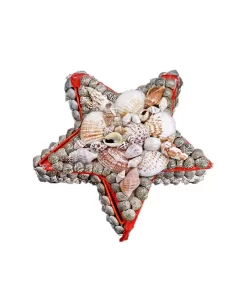 קופסת תכשיטים לנשים מצדפים כוכב 15X15