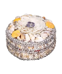 קופסת תכשיטים לנשים מצדפים עגולה 20X20